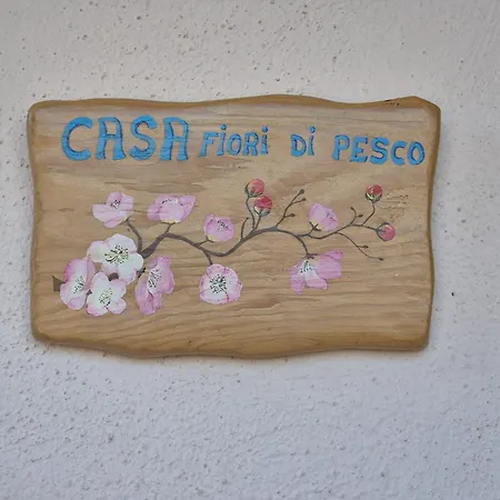 Lejlighed Casa Fiori Di Pesco Marciana Marina (Isola d'Elba)